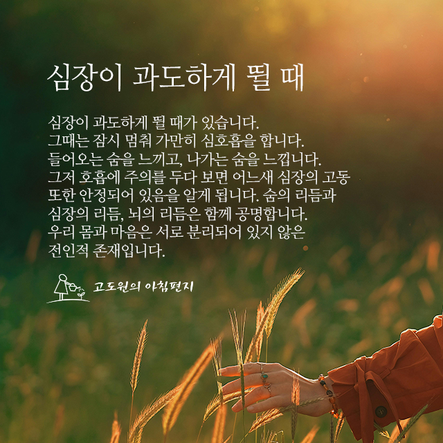 사진편지 썸네일