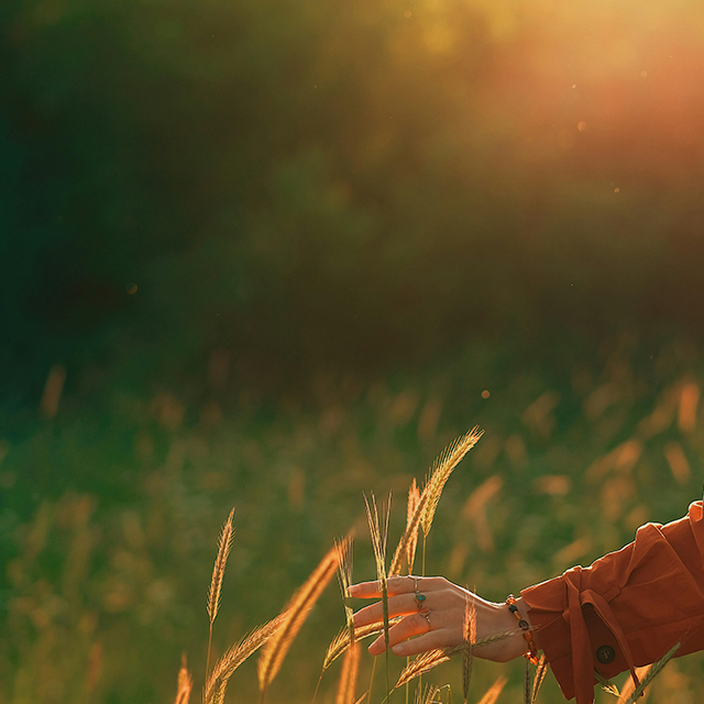 2026-03-31 아침편지