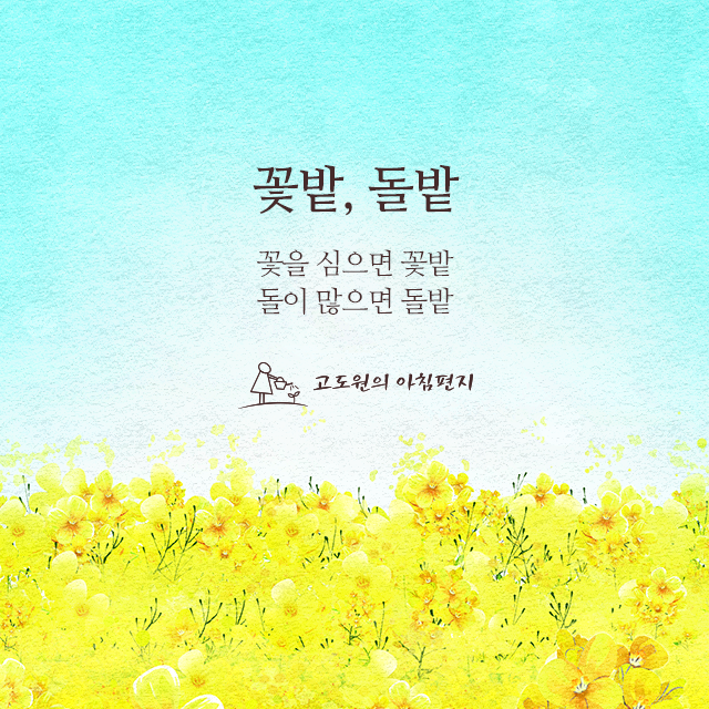 사진편지 썸네일