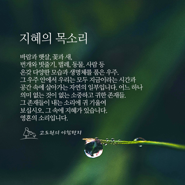 사진편지 썸네일