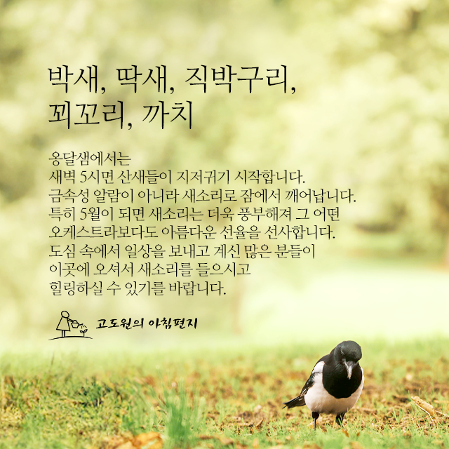 사진편지 썸네일