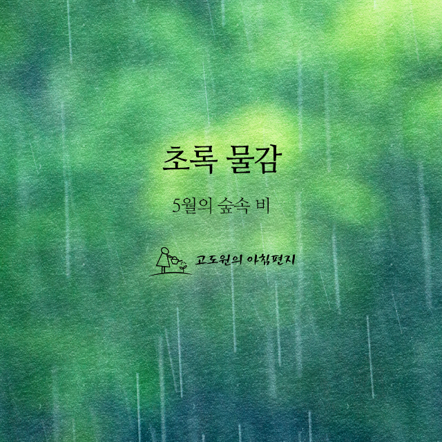 사진편지 썸네일