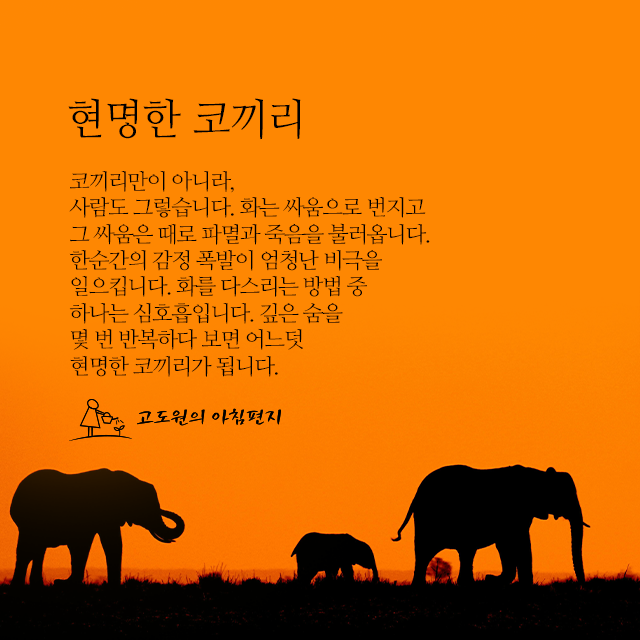 사진편지 썸네일