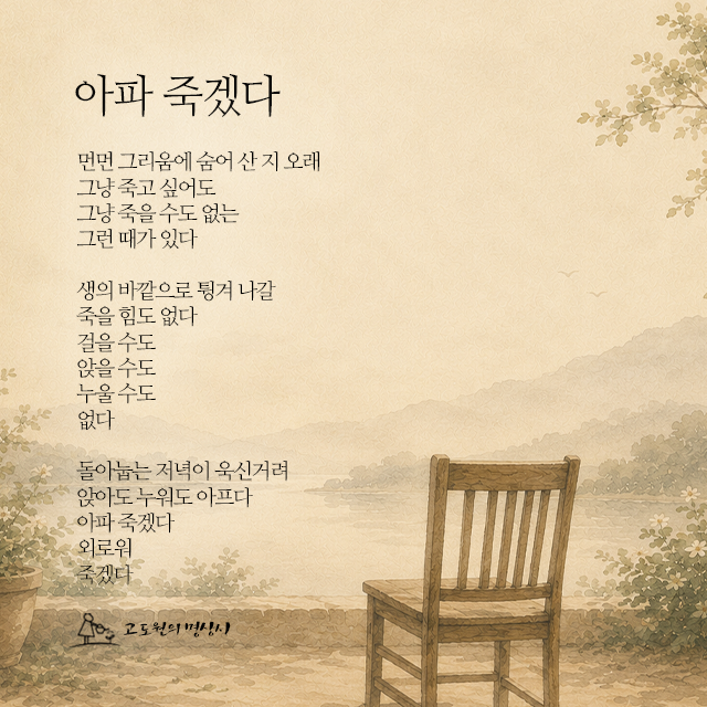 사진편지 썸네일