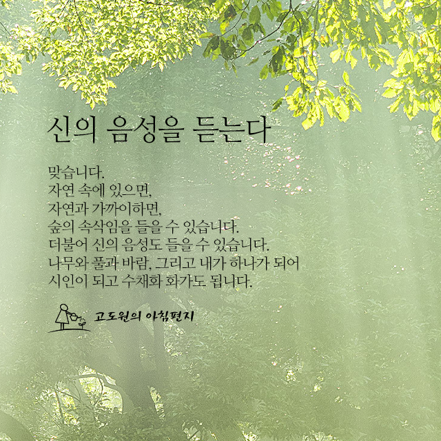 사진 썸네일