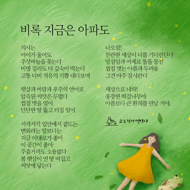 사진편지 썸네일
