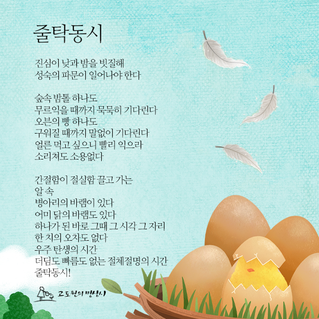 사진편지 썸네일