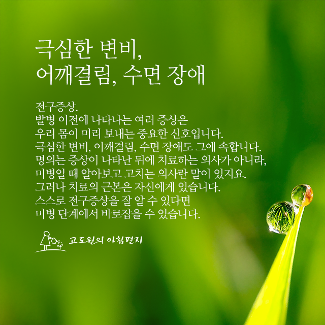사진편지 썸네일