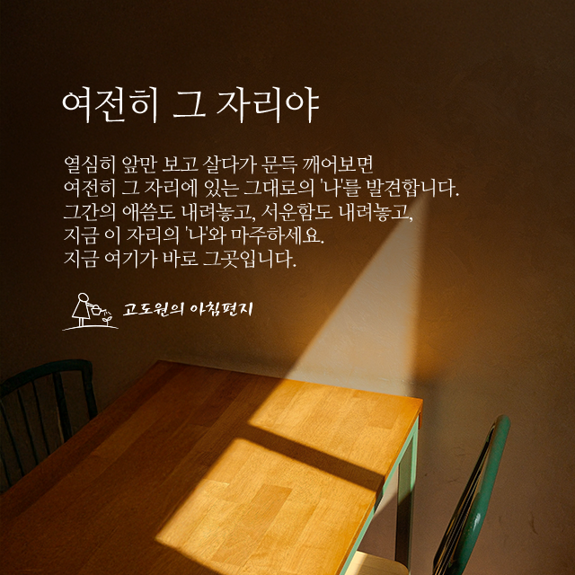 사진편지 썸네일