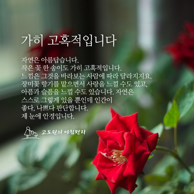 사진편지 썸네일