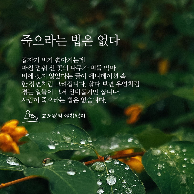 사진편지 썸네일