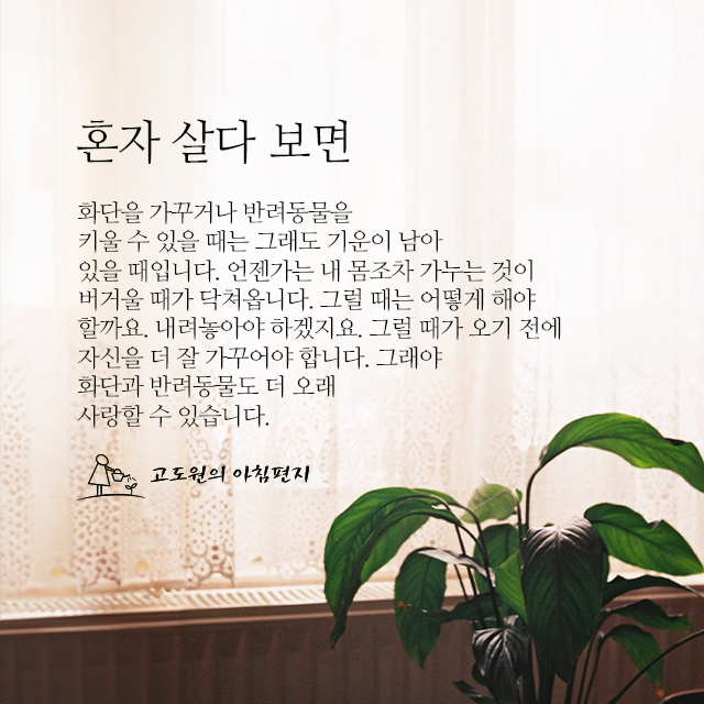 사진편지 썸네일