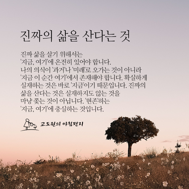 사진편지 썸네일