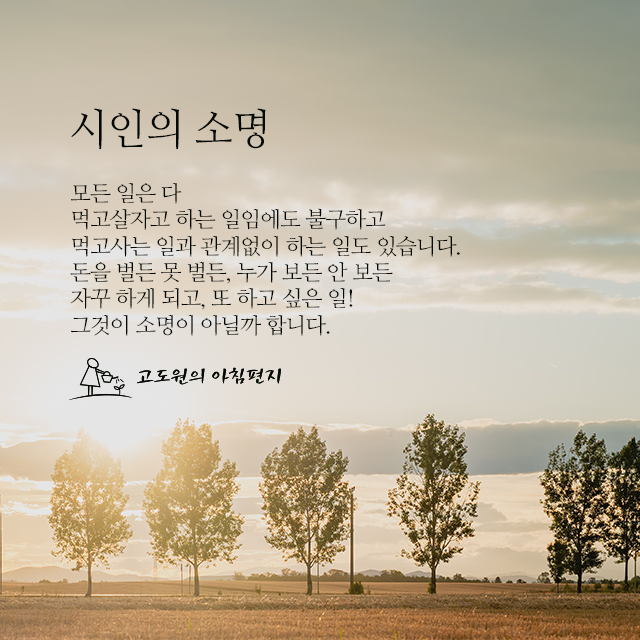 사진편지 썸네일