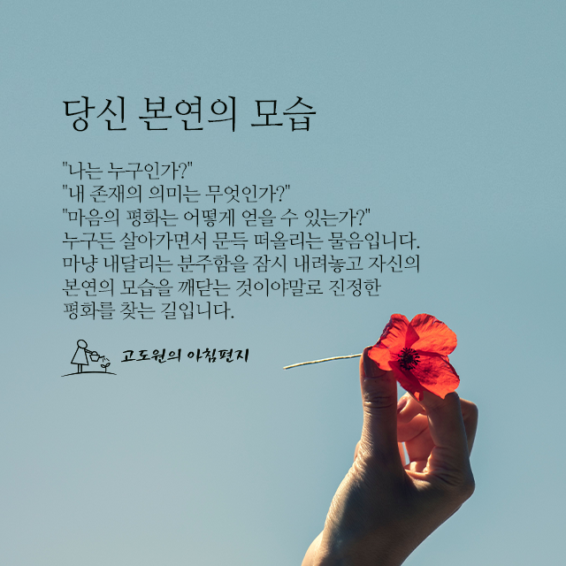 사진편지 썸네일