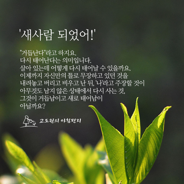 사진편지 썸네일