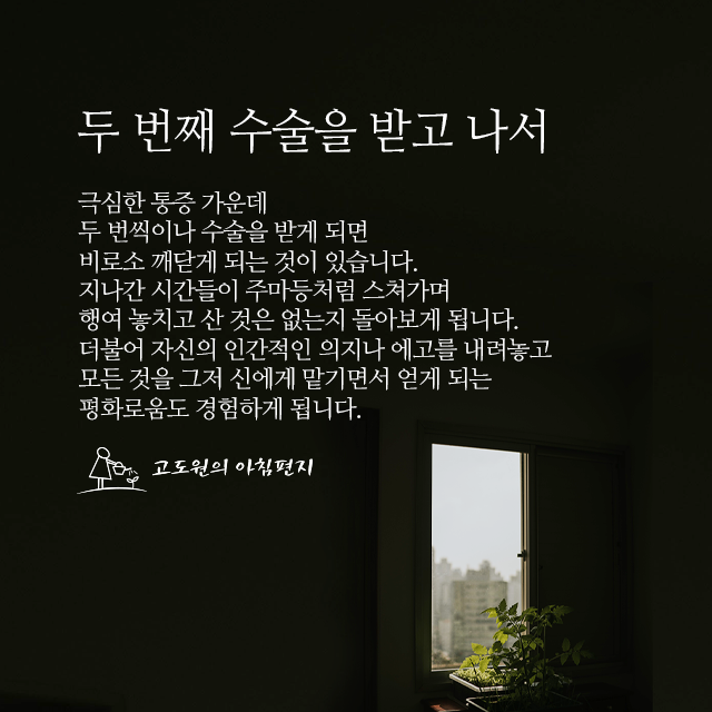 사진편지 썸네일