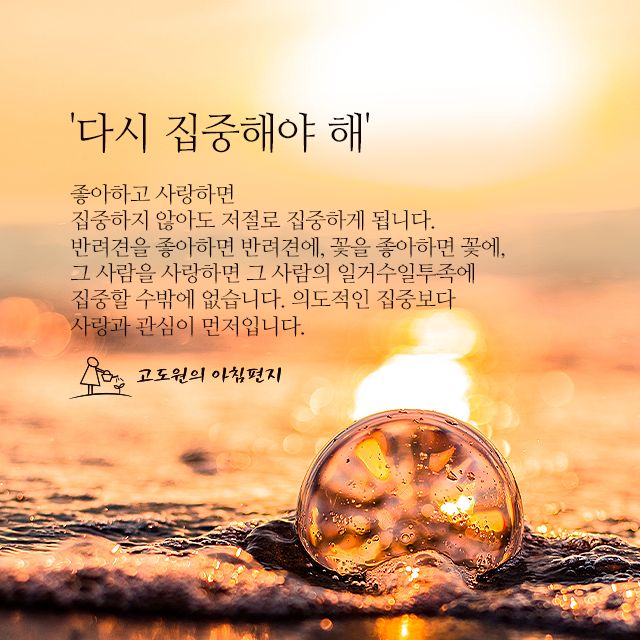 사진편지 썸네일