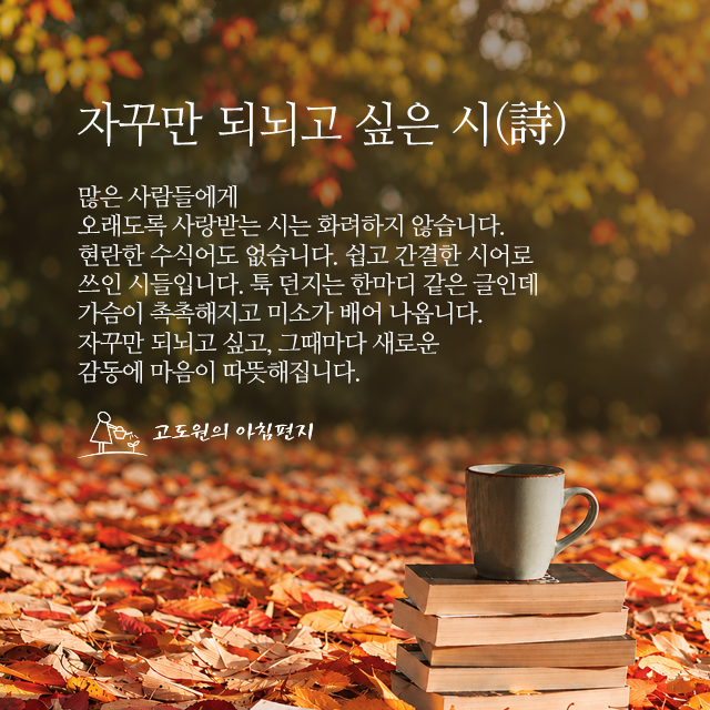 사진편지 썸네일