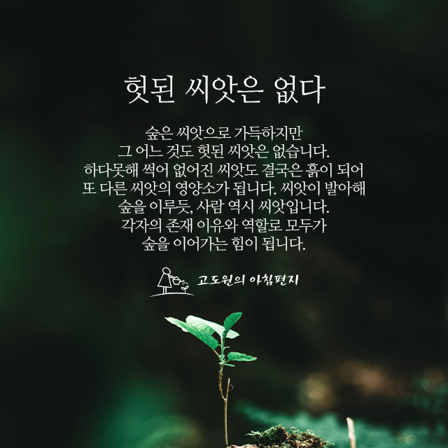 사진편지 썸네일