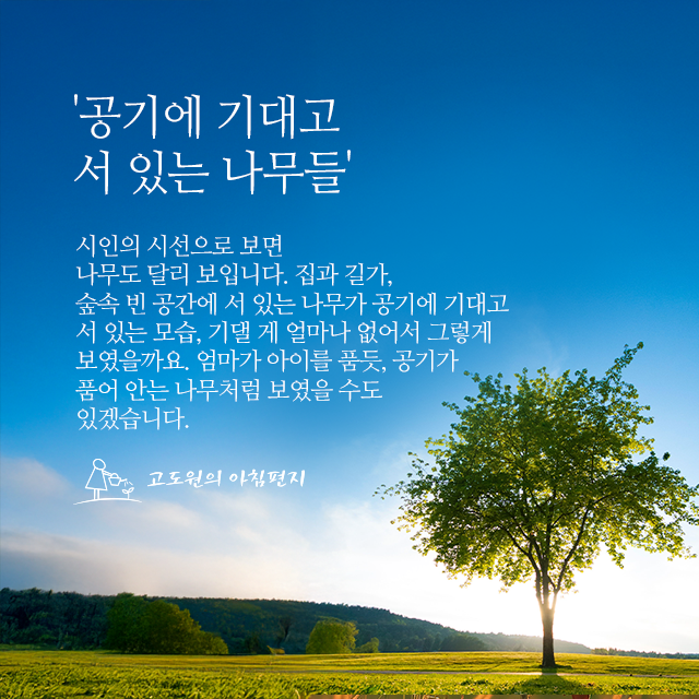 사진편지 썸네일