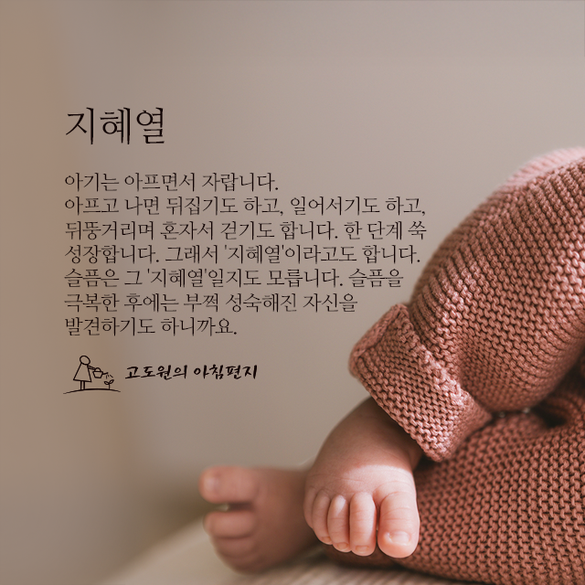 사진편지 썸네일