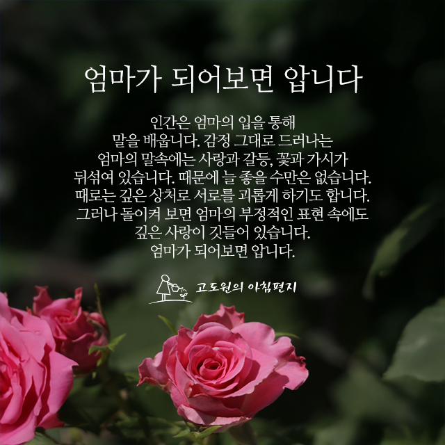 사진편지 썸네일